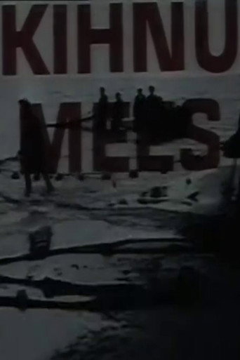 Póster de Kihnu Mees
