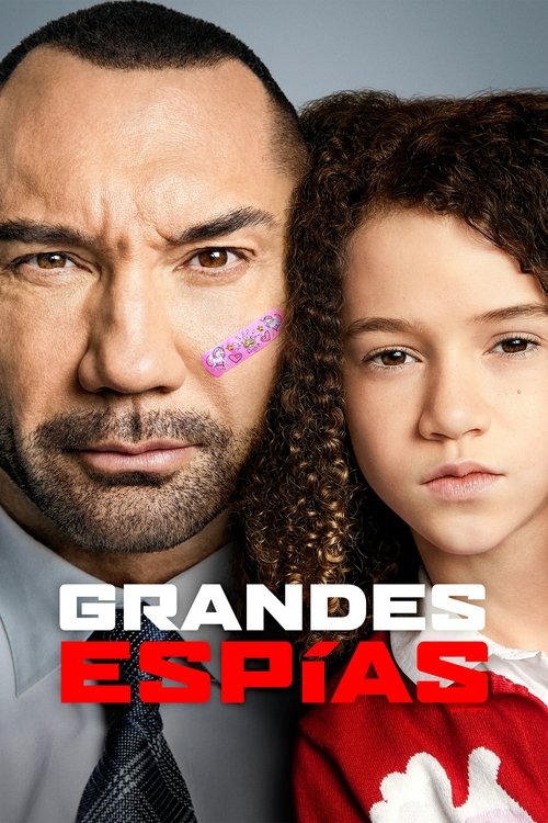 Póster de Grandes espías