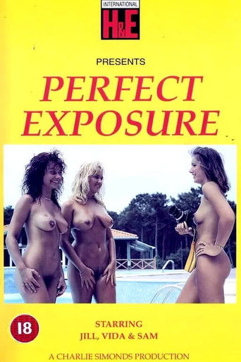 Póster de Perfect Exposure