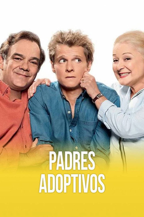 Póster de Beaux-parents