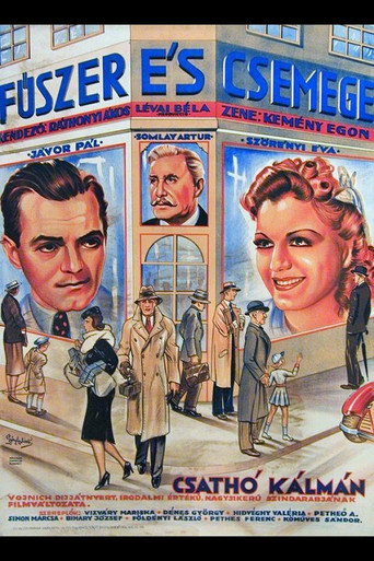 Póster de Fűszer és csemege