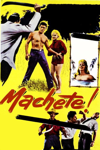 Póster de Machete