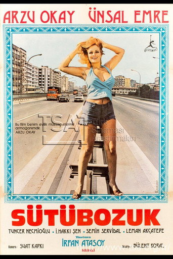 Póster de Sütü Bozuk