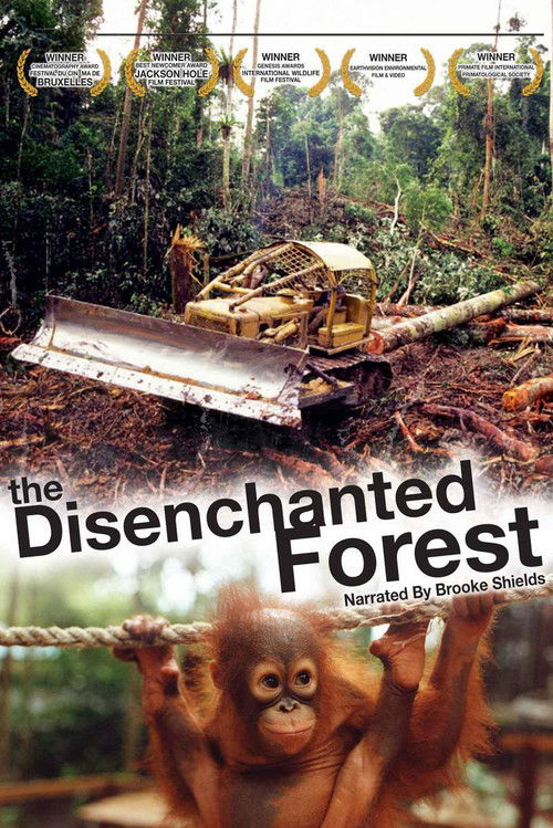 Póster de Disenchanted Forest