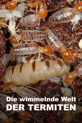 Póster de Svět podle termitů