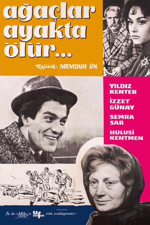 Póster de Ağaçlar Ayakta Ölür