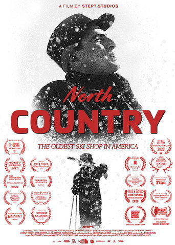 Póster de North Country