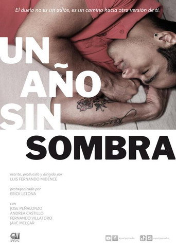 Póster de Un año sin sombra