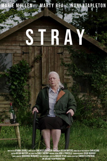 Póster de Stray