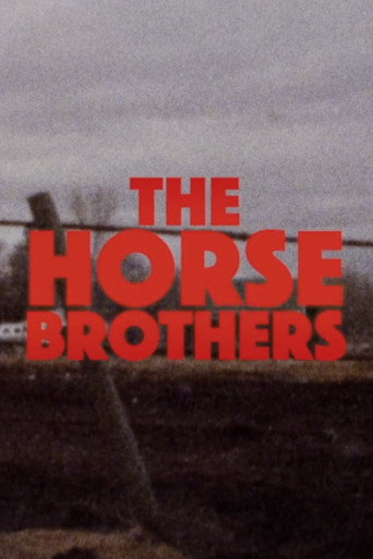Póster de Horse Brothers