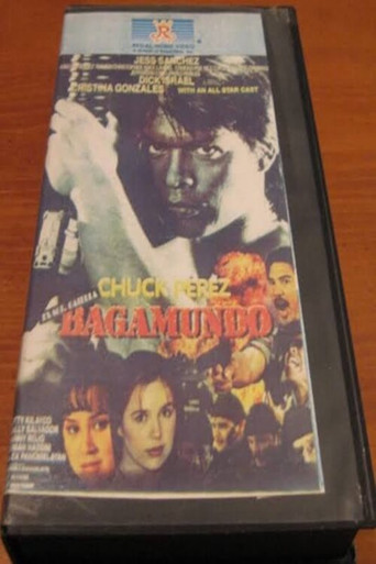 Póster de Bagamundo