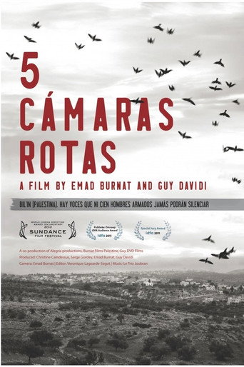 Póster de 5 cámaras rotas