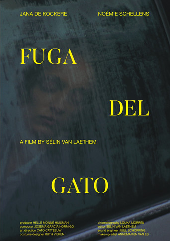 Póster de Fuga Del Gato