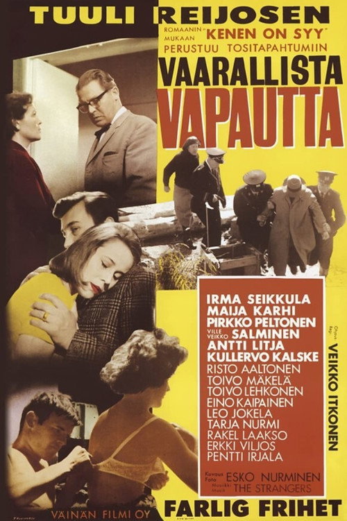 Póster de Vaarallista vapautta