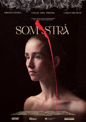 Póster de Som Strå