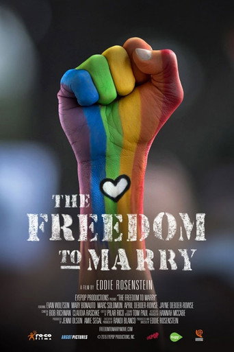 Póster de The Freedom to Marry