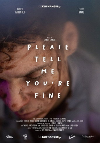 Póster de Please tell me you're fine