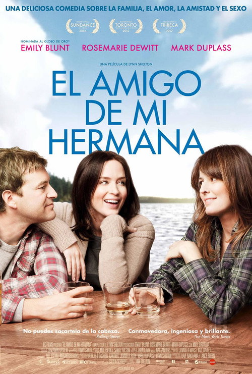 Póster de El amigo de mi hermana