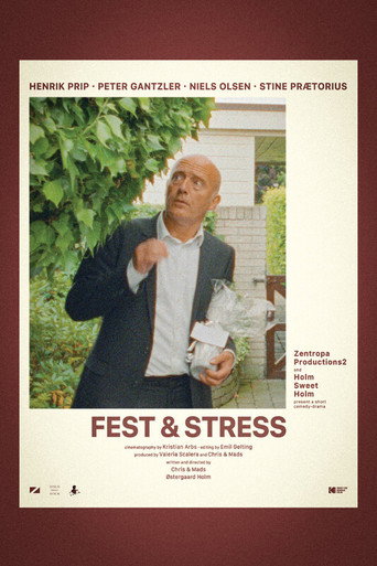 Póster de Fest & Stress
