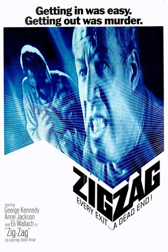 Póster de Zig Zag