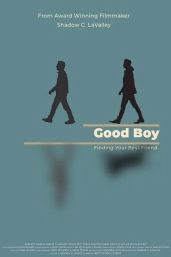 Póster de Good Boy