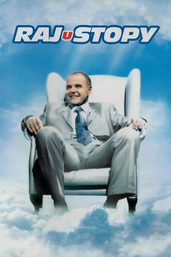 Póster de Rajustopy