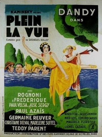 Póster de Plein la vue