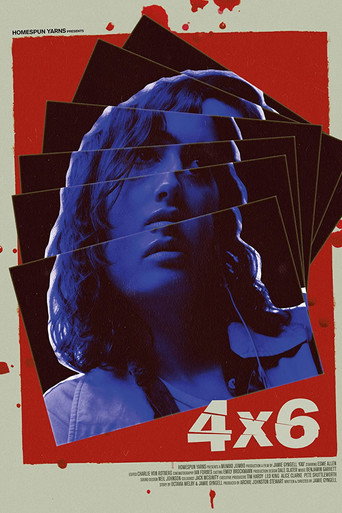 Póster de 4x6
