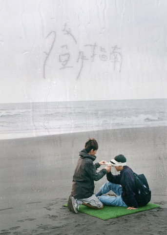Póster de 登月指南
