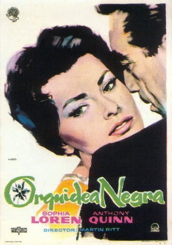 Póster de La orquídea negra