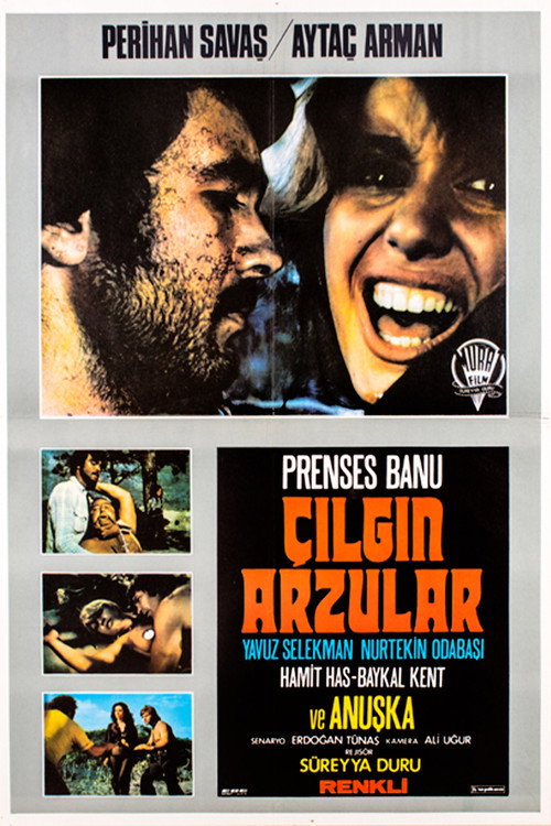 Póster de Çılgın Arzular