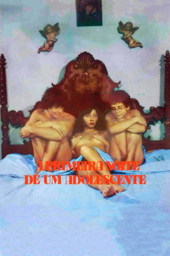 Póster de A Primeira Noite de um Adolescente