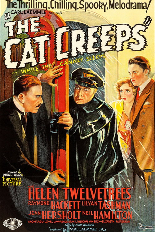 Póster de The Cat Creeps