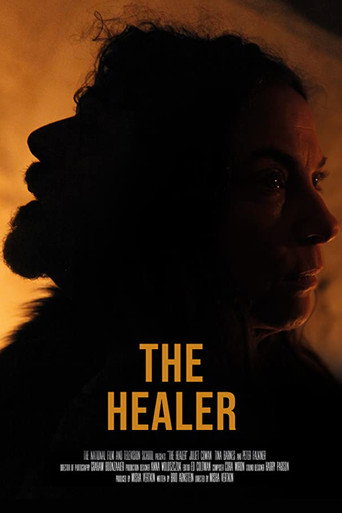 Póster de The Healer