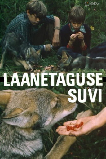 Póster de Laanetaguse suvi