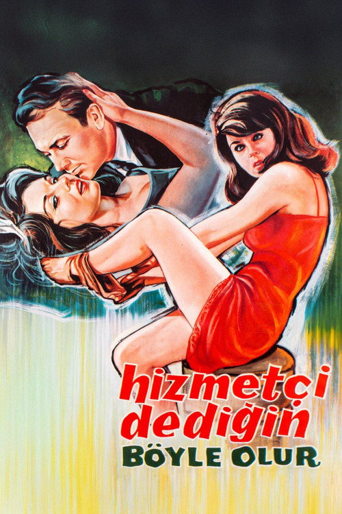 Póster de Hizmetçi Dediğin Böyle Olur