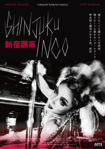 Póster de 新宿鸚哥