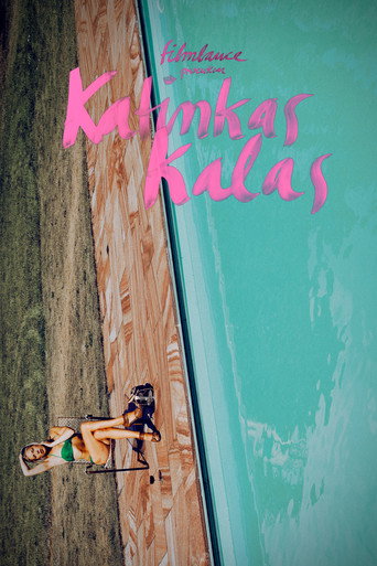 Póster de Katinkas kalas