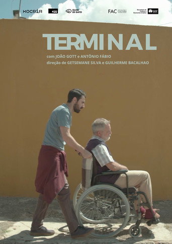 Póster de Terminal