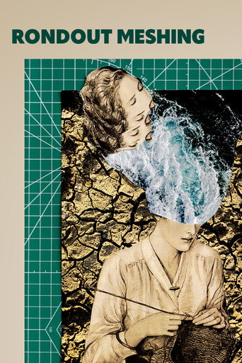 Póster de Rondout Meshing