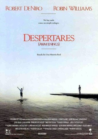 Póster de Despertares