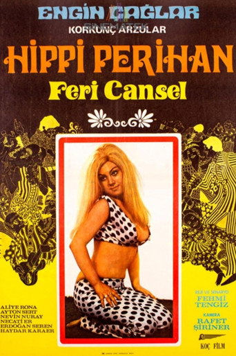 Póster de Hippi Perihan