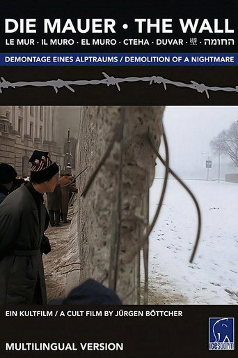 Póster de Die Mauer