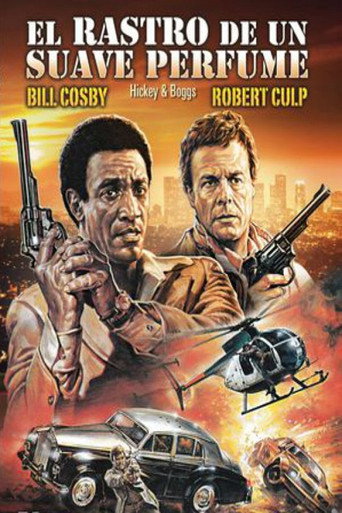 Póster de Hickey & Boggs