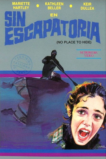 Póster de No Place to Hide