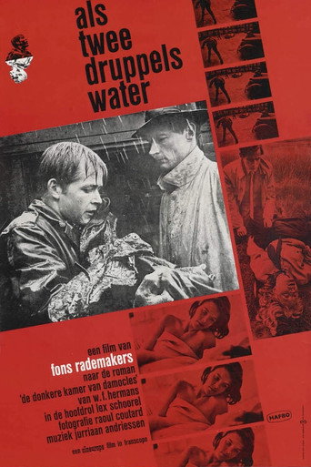 Póster de Als twee druppels water