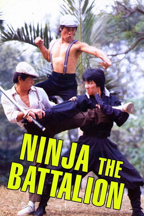 Póster de Ninja: The Battalion