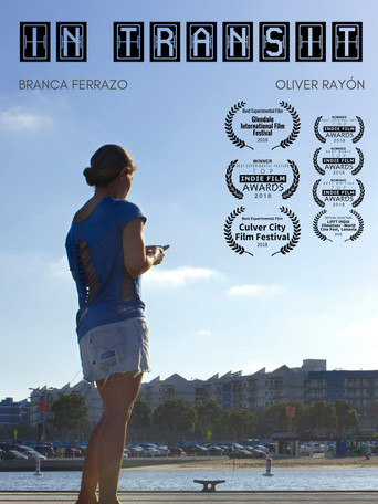 Póster de In Transit
