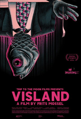 Póster de Visland