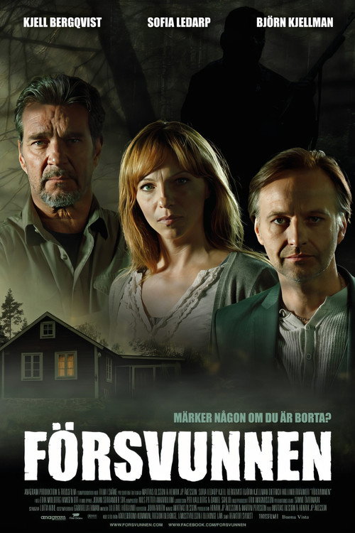 Póster de Försvunnen